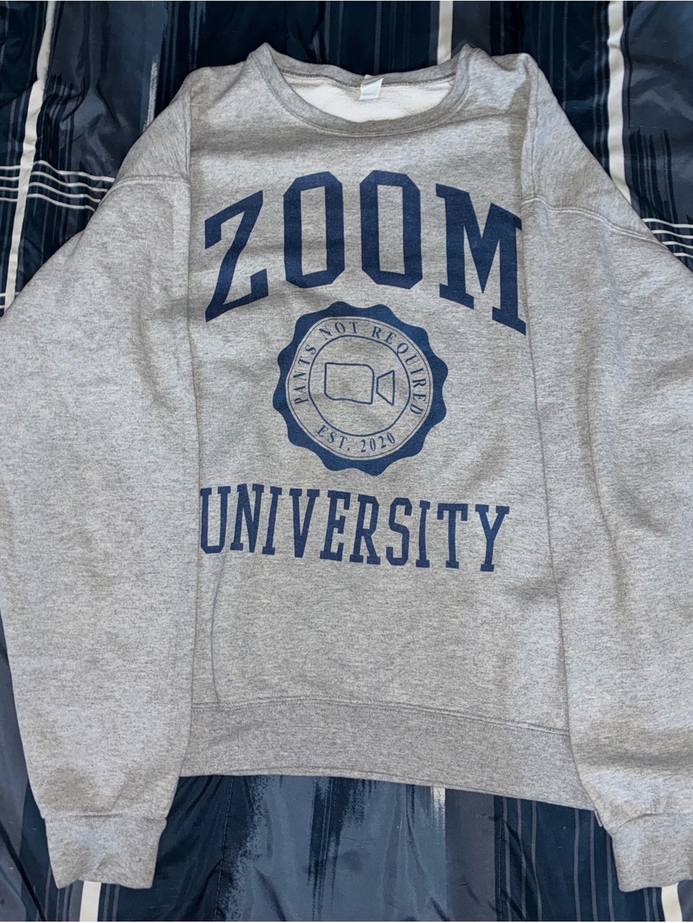 Gray "Zoom University" Graphic Sweatshirt